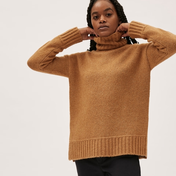 Everlane Wool Cotton Alpaca  Oversized Turtleneck Sweater Tan Size Small Oversiz - Picture 1 of 7